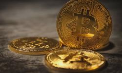 Featured image of post 从零到一：用 BitAddress 制作比特币冷钱包的完整教程